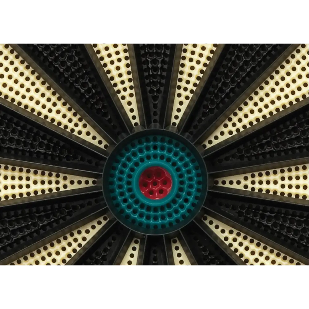 electronic_dart_board_Fat_Cat_727_Electronic_Dart_board_6