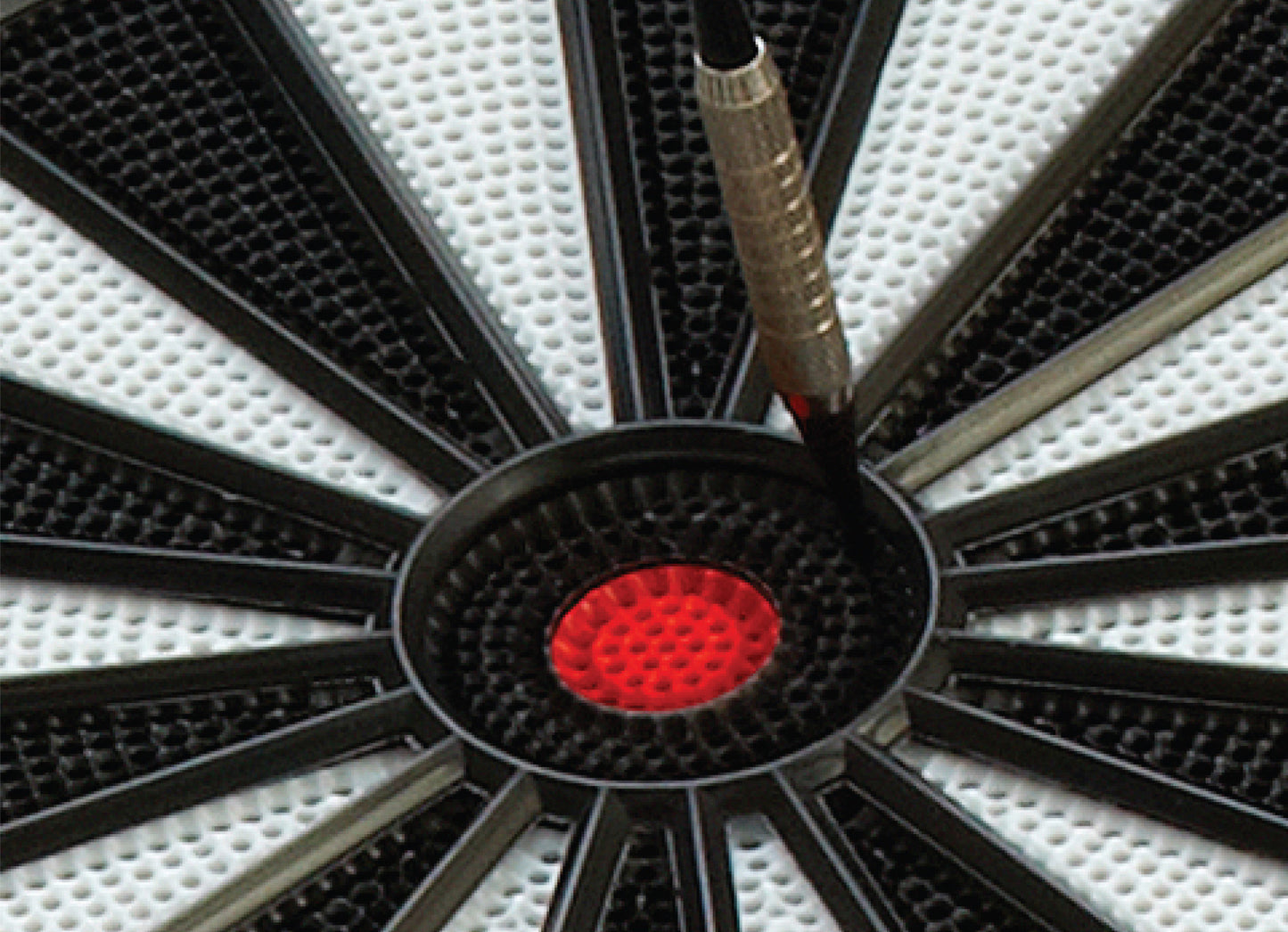 electronic_dart_board_Fat_Cat_Electronx_Electronic_Dartboard_5_7fa98090